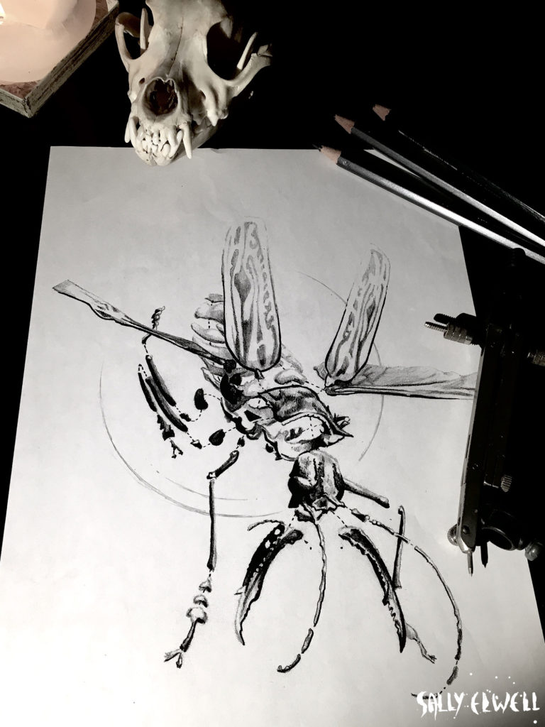 Dessin tatto Insecte en kit graphique encre noire et dégradé de crayon gris