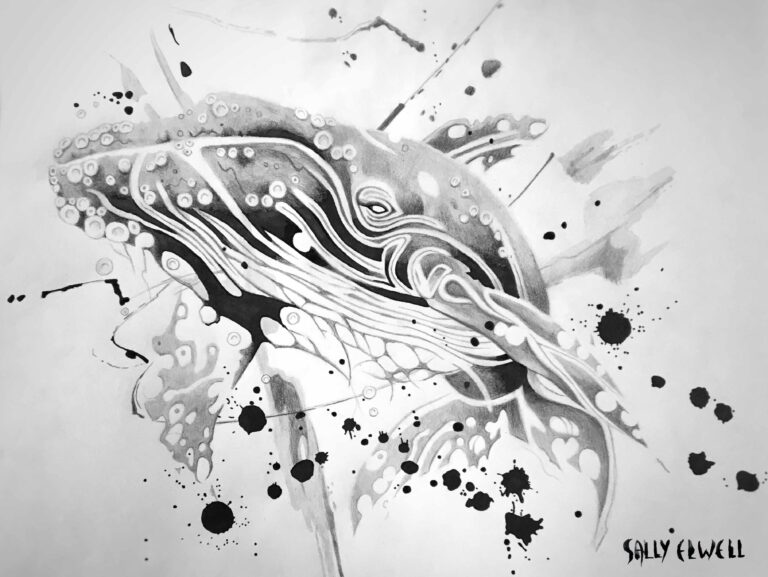 dessin baleine dentelle organique éclaboussure encre noire dégradés de gris dessin baleine dentelle organique éclaboussure encre noire dégradés de gris