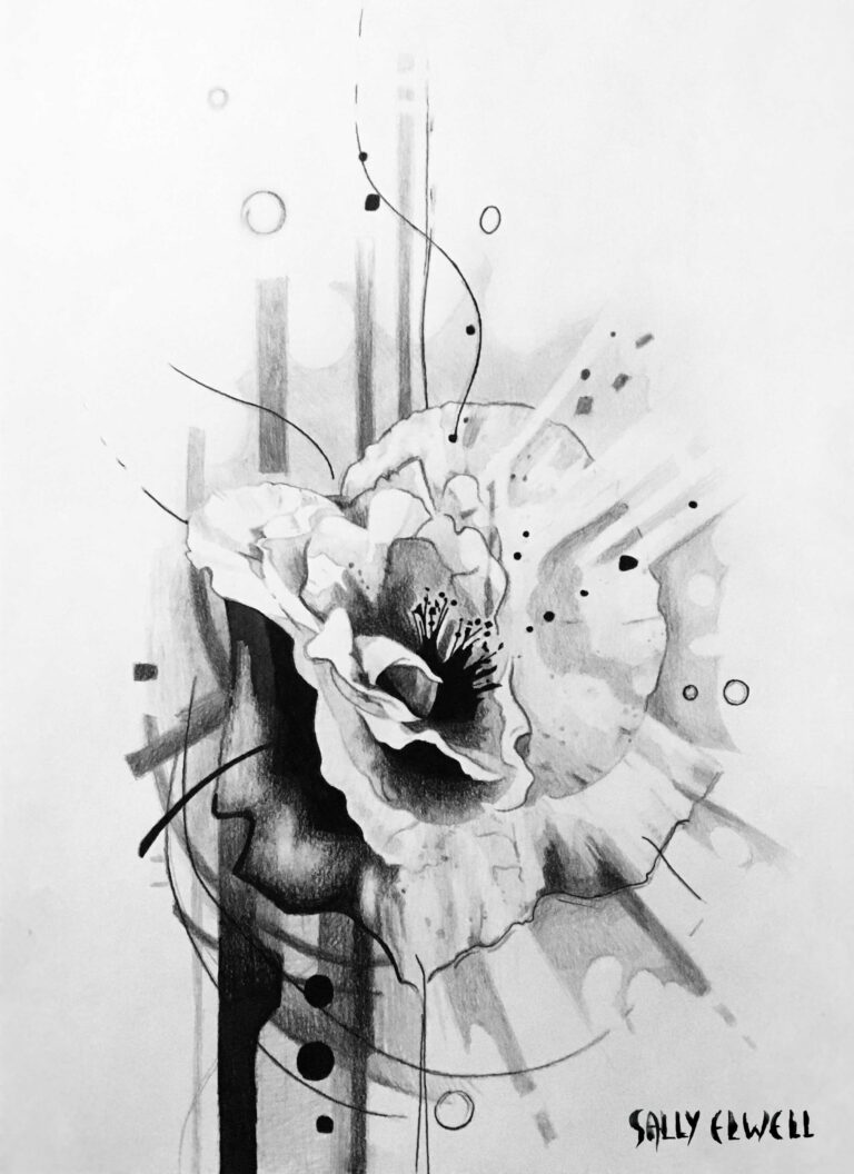 dessin coquelicot encre noire dégradés de gris dessin coquelicot encre noire dégradés de gris